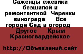 Саженцы ежевики безшипой и ремонтантной. Черенки винограда . - Все города Сад и огород » Другое   . Крым,Красногвардейское